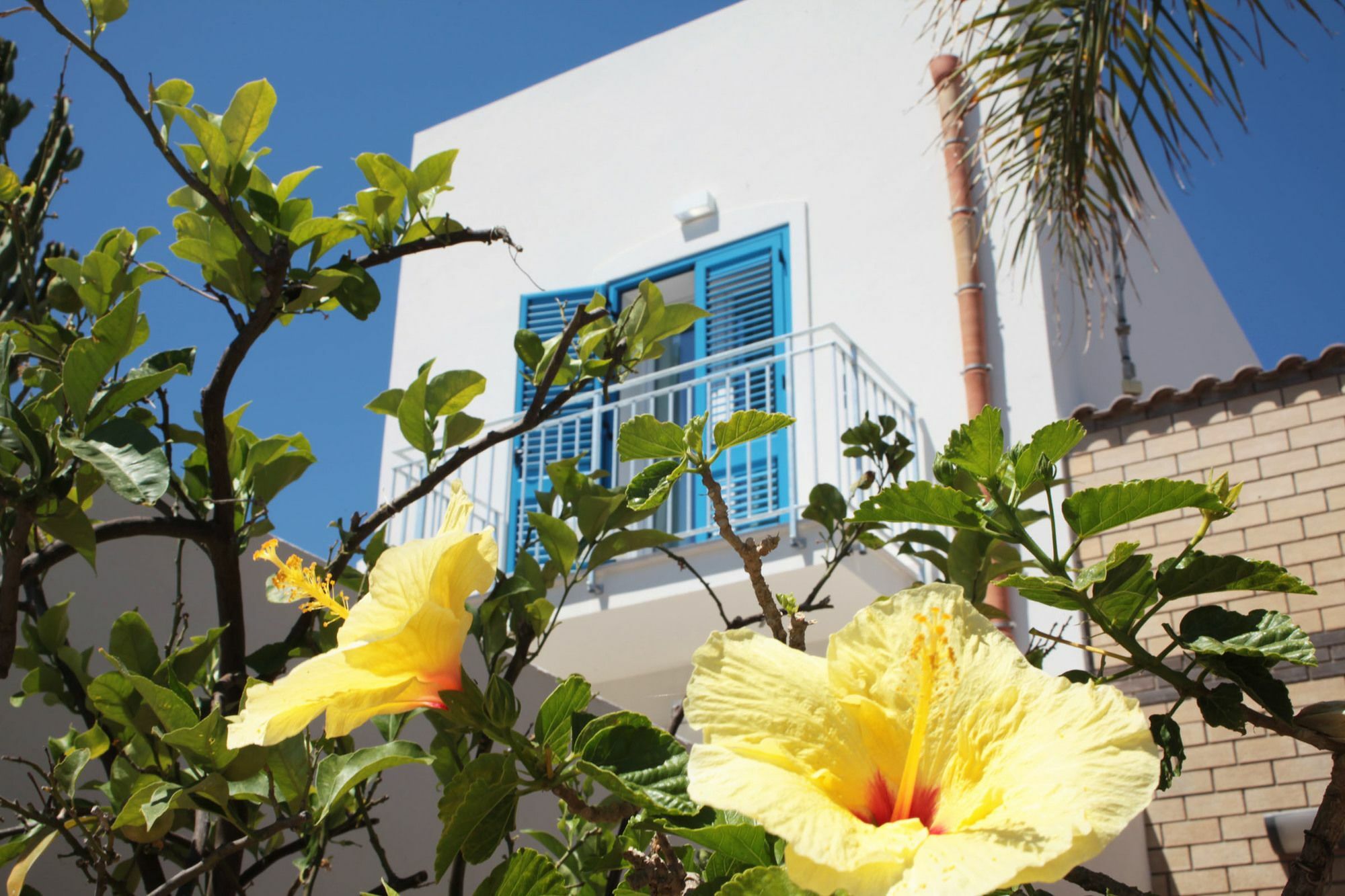 Rivazzurra Design Rooms San Vito Lo Capo Luaran gambar